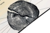 Joint_Snowboards_Woodworks25-26_5