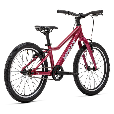 ed7ea360d8b4e27ddffba6640cd88489