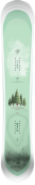 large_forest_top_1