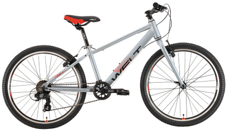 Велосипед Welt Peak 24 R Jr (metal grey) 21