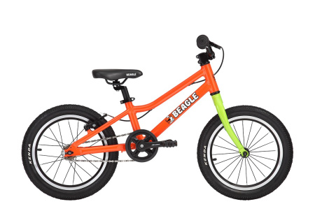 164_beagle-116x (1)