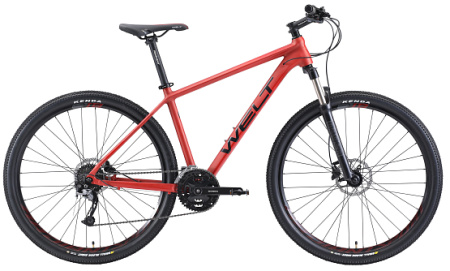 Велосипед Welt Rubicon 1.0 29 (rusty red) 21