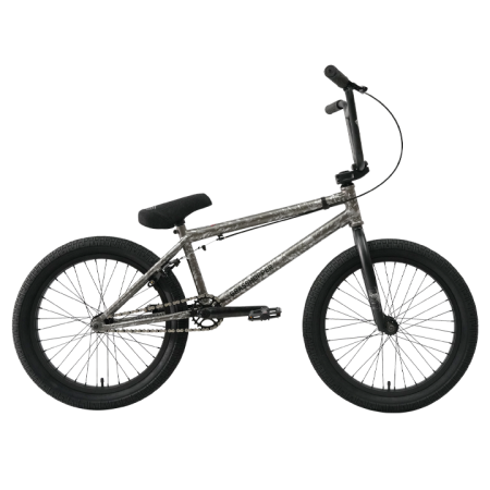 grasshopper-grey2024