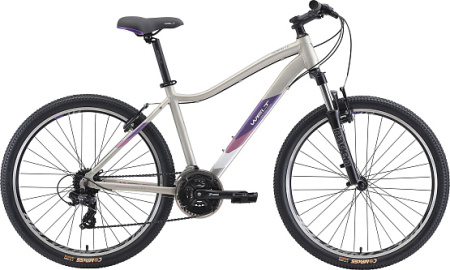 Велосипед Welt Edelweiss 1.0 26 W (matt grey) 21