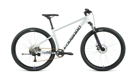 Велосипед Forward Sporting XX 29 (серебристый/фиолетовый) 21
