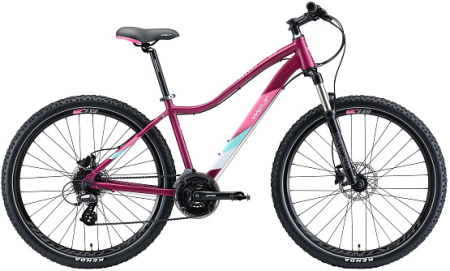 Велосипед Welt Edelweiss 2.0 HD 27 W (matt violet/mint green) 20
