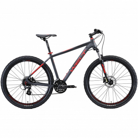 Велосипед Welt Rockfall 2.0 29 (matt grey/red) 20