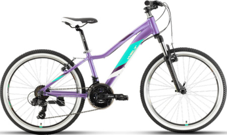 Велосипед Welt Edelweiss 24 HD 1.0 Jr (matt purple) 21