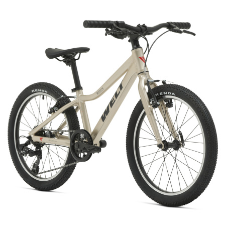 fewiq4k69wdpyny56os2asp8zkqophy6