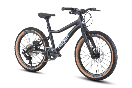 Teen Pro 20 Carbon fork F